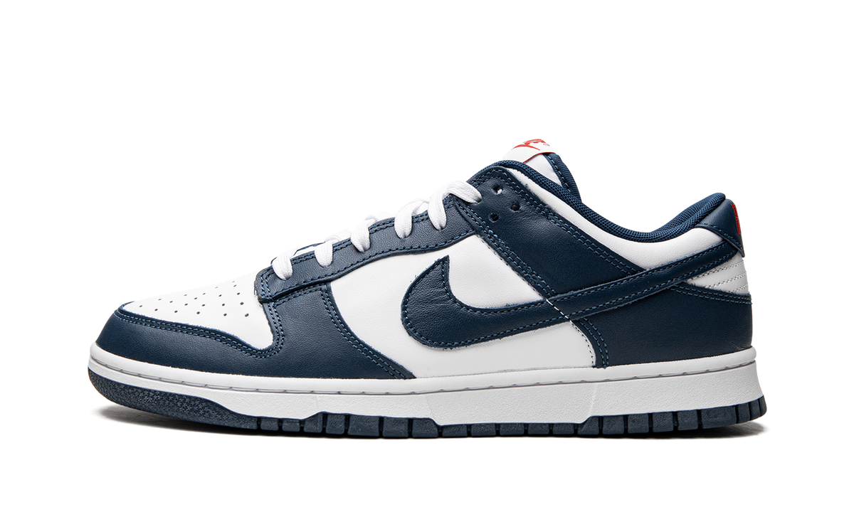 Dunk Low Retro USA DD1391 400